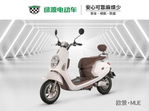 新日电动车和绿源电动车哪个较好,绿源3000左右电动车哪款最好