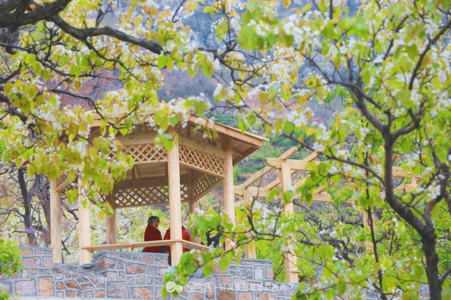 閭ｄ釜杩滄柟鐨勪綘,閭ｄ釜杩滄柟鏄皝鍞辩殑