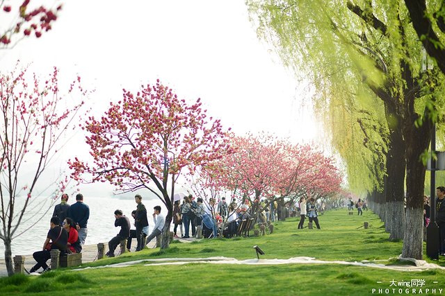 璇楁剰鏉窞瑗挎箹,璇楁剰姹熷崡姊﹂噷姘翠埂