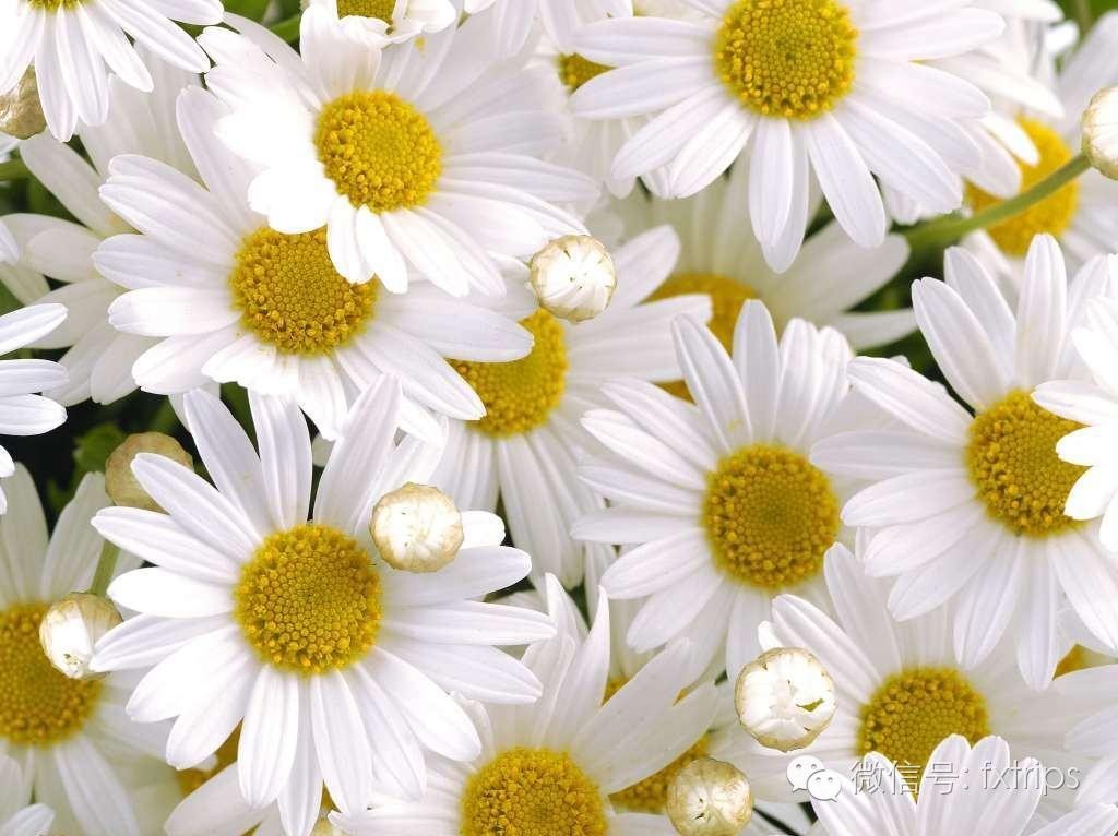 老外第一次遇见中国国货,让老外疯狂的中国国货