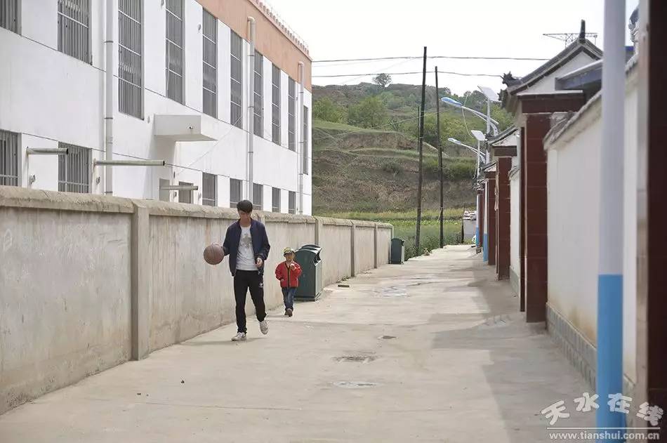 天水市麦积区最美村庄,天水市最美乡村谢沟村