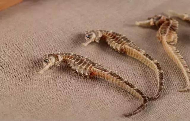 冬天可以吃的补肾的丸药,补肾气丸最好的一味中药