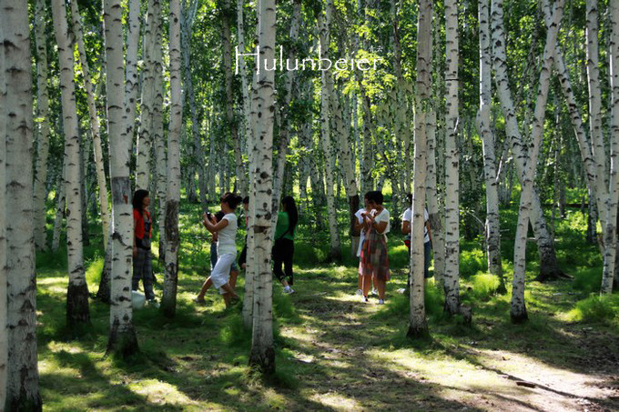 呼伦贝尔拍照攻略,呼伦贝尔美景拍照