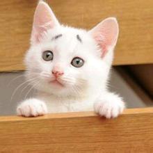 不要再说等到猴年马月再去xxxx，现在就是猴年马月！