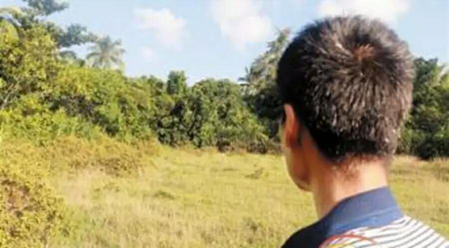 月白月明：满仓和他的女人