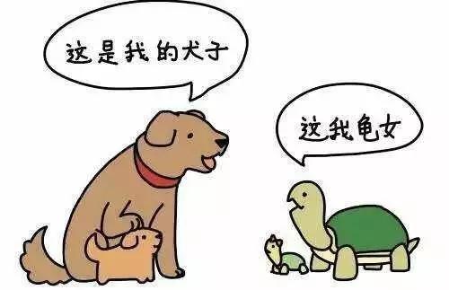 为了吃某龙，我不惜用上了某应龙