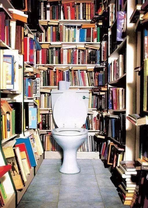 苹果也出马桶！还有情侣款！与她一起拉”粑粑“是什么感觉！