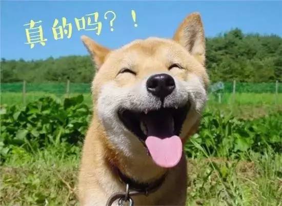 足球界的十大高手,足坛跑步最快的十个人