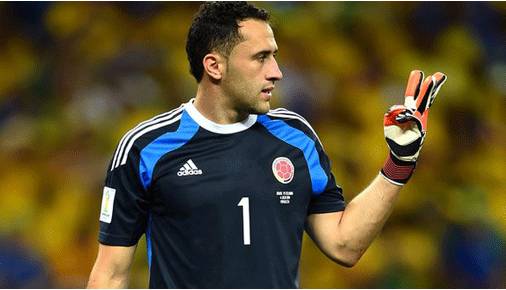 法兰西巡礼,法兰西队欧洲杯