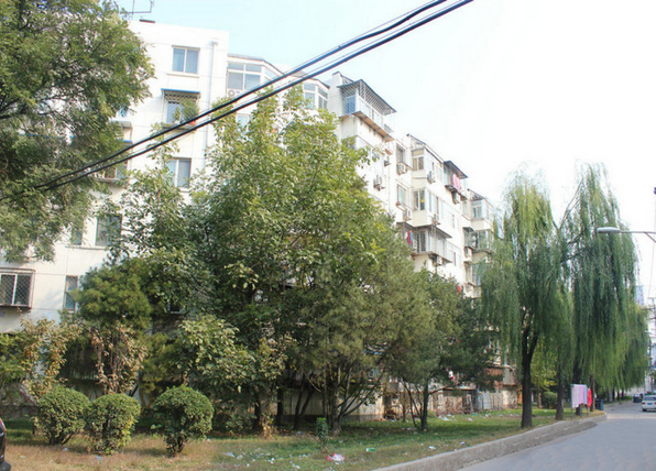 望京西园二手房,望京二手房最便宜实拍