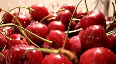 懂球帝怎么看欧洲杯,欧洲杯来了看球