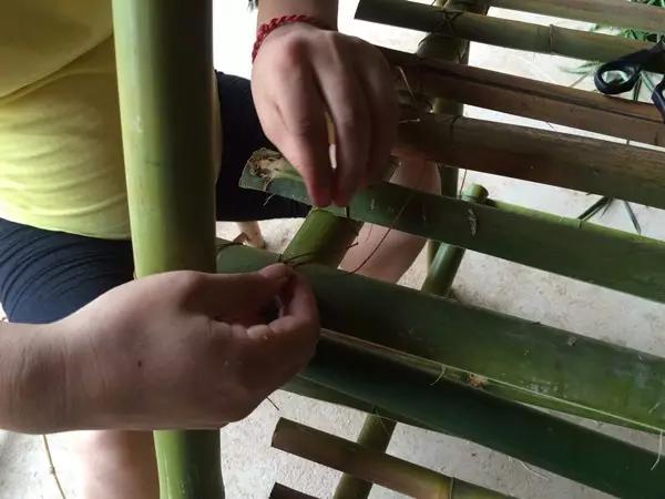 自制月季花架竹子,自制竹子蔷薇花架