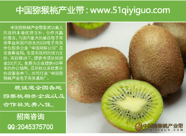 野生猕猴桃事件,误食了猕猴桃的毛