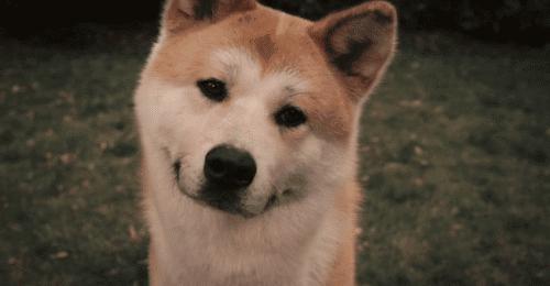 阿q对吴妈说困觉,阿q对吴妈说困觉什么意思