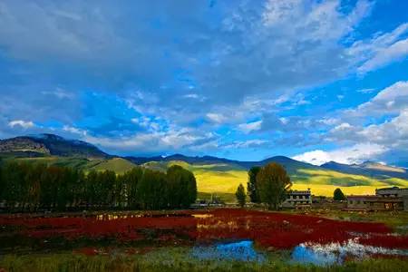 成都包车去拉萨最快几天到,春节成都包车去拉萨多少钱