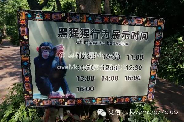 一日游广州长隆野生动物园攻略,广州长隆野生动物园自由行攻略