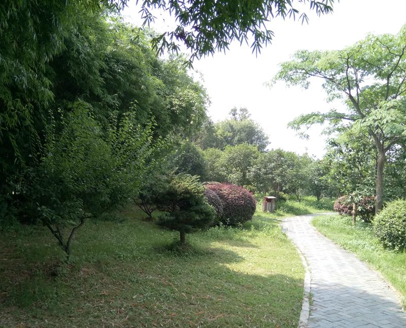 乐视手机2为什么被称为超级手机,乐视2和乐视2pro区别