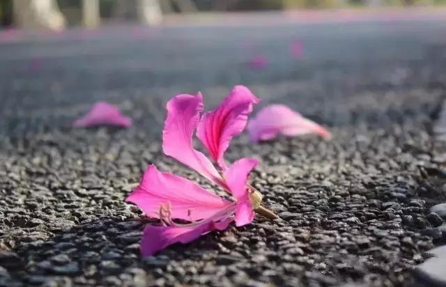 海口一座不需要滤镜的城市,海口一线海景