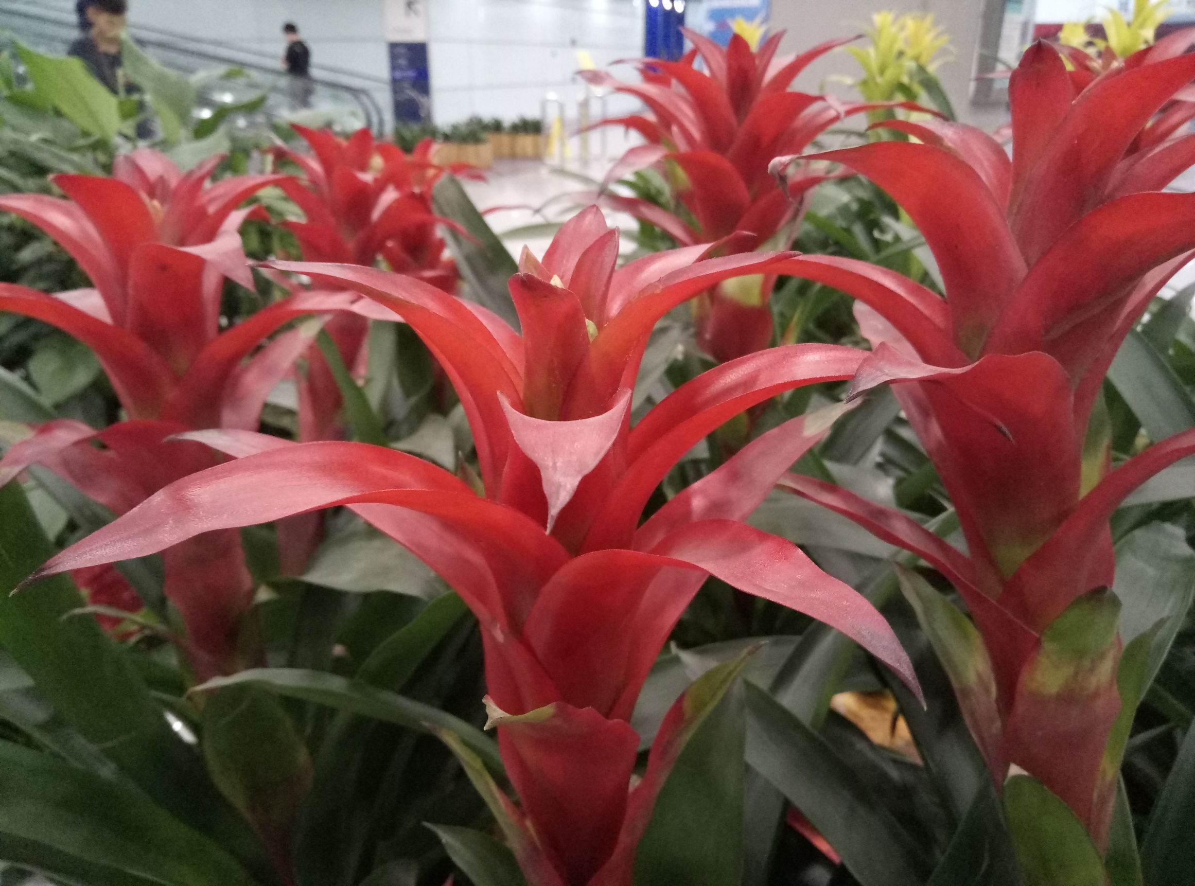 魅蓝3s测评,一次趋于完美的进化