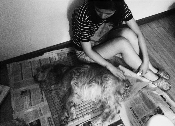 什么情况下狗狗做安乐死,什么情况建议狗狗安乐死