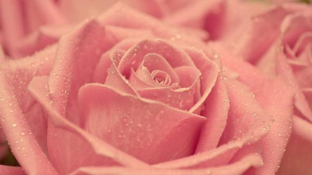 痛经按哪个部位可以缓解疼痛,女孩痛经怎么办缓解疼痛最快