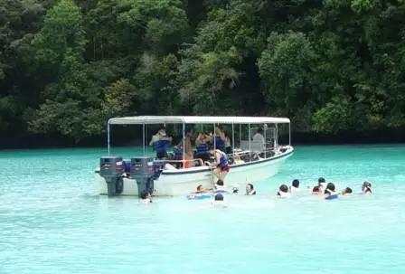 帕劳·遇见·潜水|趣·旅行线上分享会（第二期）