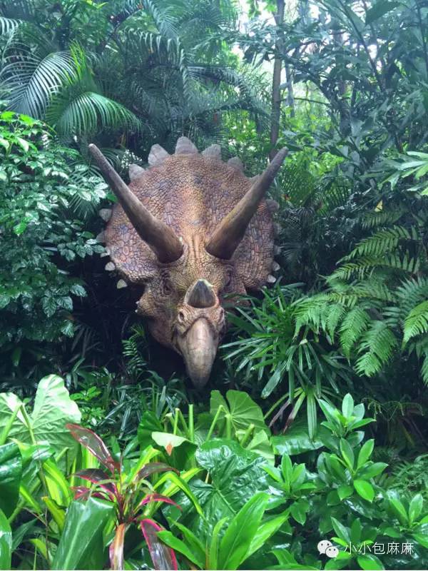 广州长隆动物园一日游攻略,长隆动物园和海洋公园哪个值得去