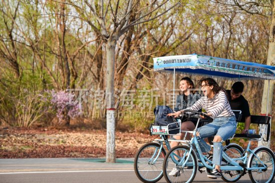 南湖景点游人爆棚,南湖游客接待人数