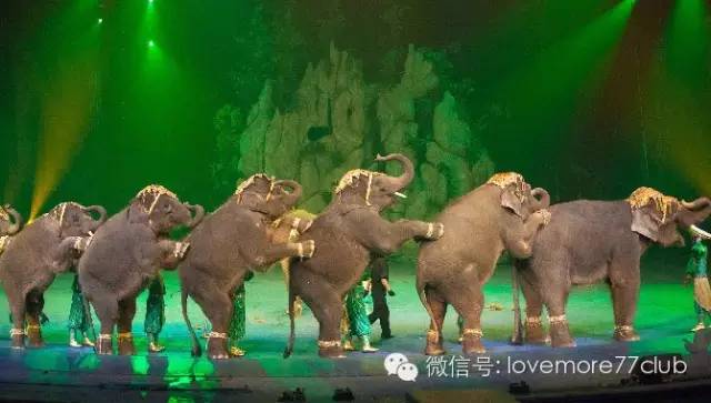 一日游广州长隆野生动物园攻略,广州长隆野生动物园自由行攻略