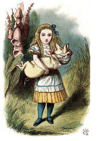 爱丽丝创始人,爱丽丝的作者是数学家