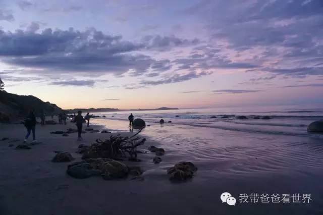 新西兰南岛摩拉基大圆石,新西兰摩拉基大圆石视频