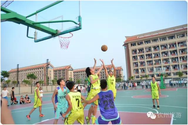 钦州学院,钦州学院2019