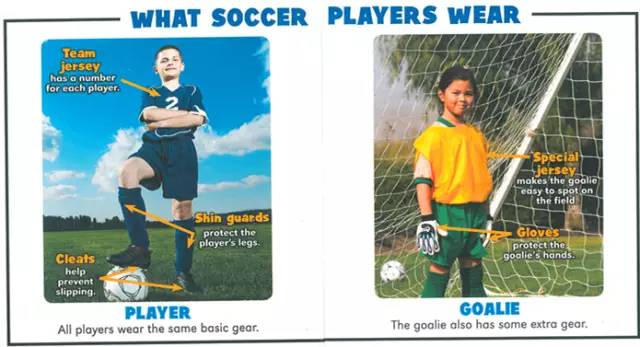 欧洲杯来咯,欧洲杯英文学习