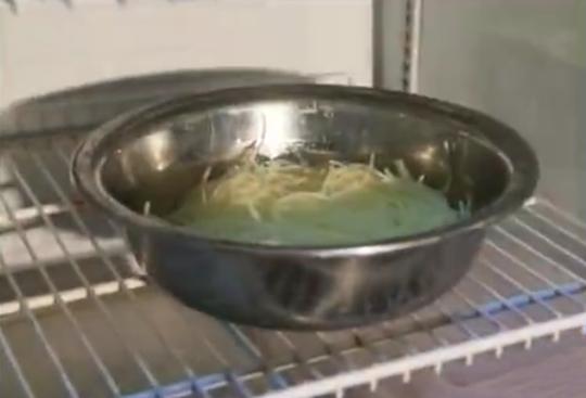 土豆丝怎么不会糊,土豆丝不变黑的秘诀