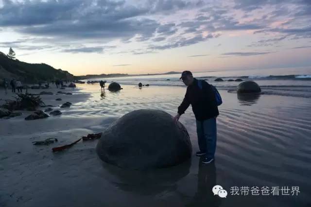 新西兰拉基圆石,摩拉基大圆石早上可以看得见吗
