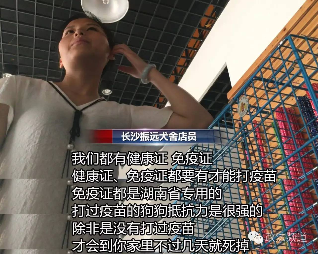 把狗买回家结果有病,购买宠物狗几天就死亡