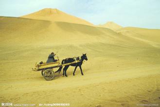付出一定有收获吗,只要付出了就会有收获对吗