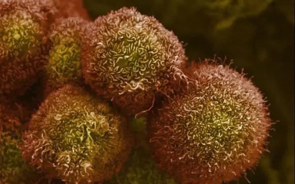 医学人士看图涨姿势系列