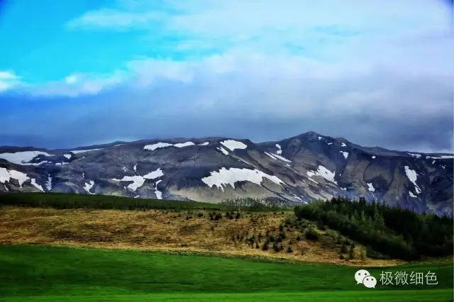 我在冰岛，带回一截漂亮的枯木