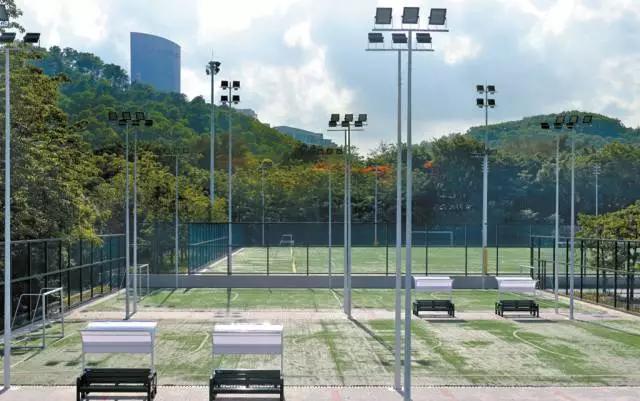 深圳有哪些公园可以免费开放,深圳有特色的免费公园