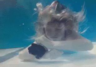 微商朋友圈卖东西赚钱吗,朋友圈的微商真的能赚钱吗