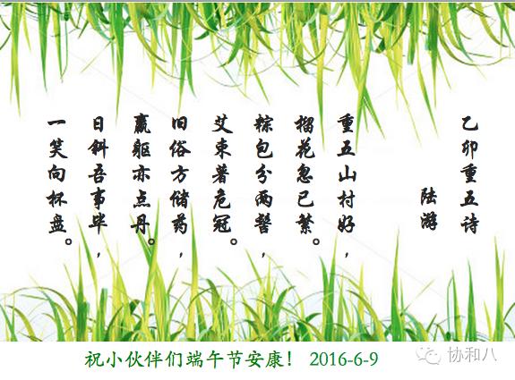 听说，好书和粽子更配哦~|协和八