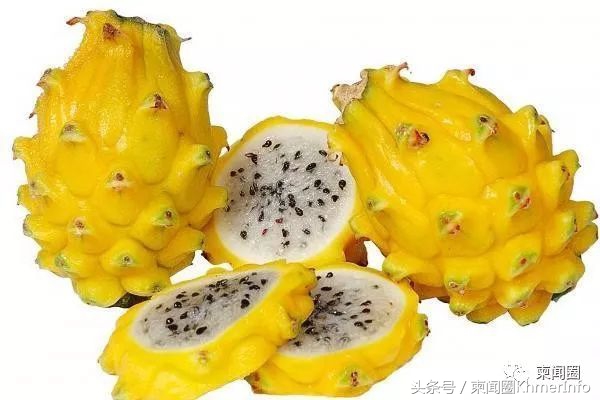 柬埔寨的特色水果有哪些,柬埔寨十大热带水果