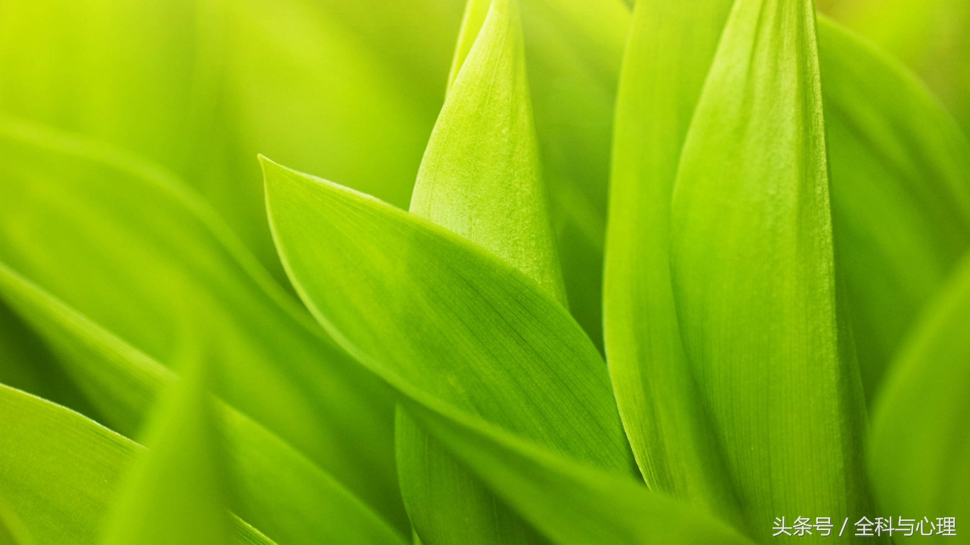 晚餐食谱大全及注意事项,晚餐应该吃什么更丰盛