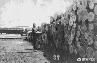 日军侵华不毁故宫,侵华日军进入故宫吗