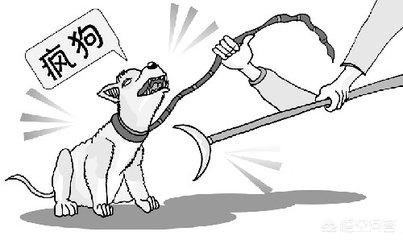 如果有一条狗要咬你干什么,如果有一条疯狗咬了你