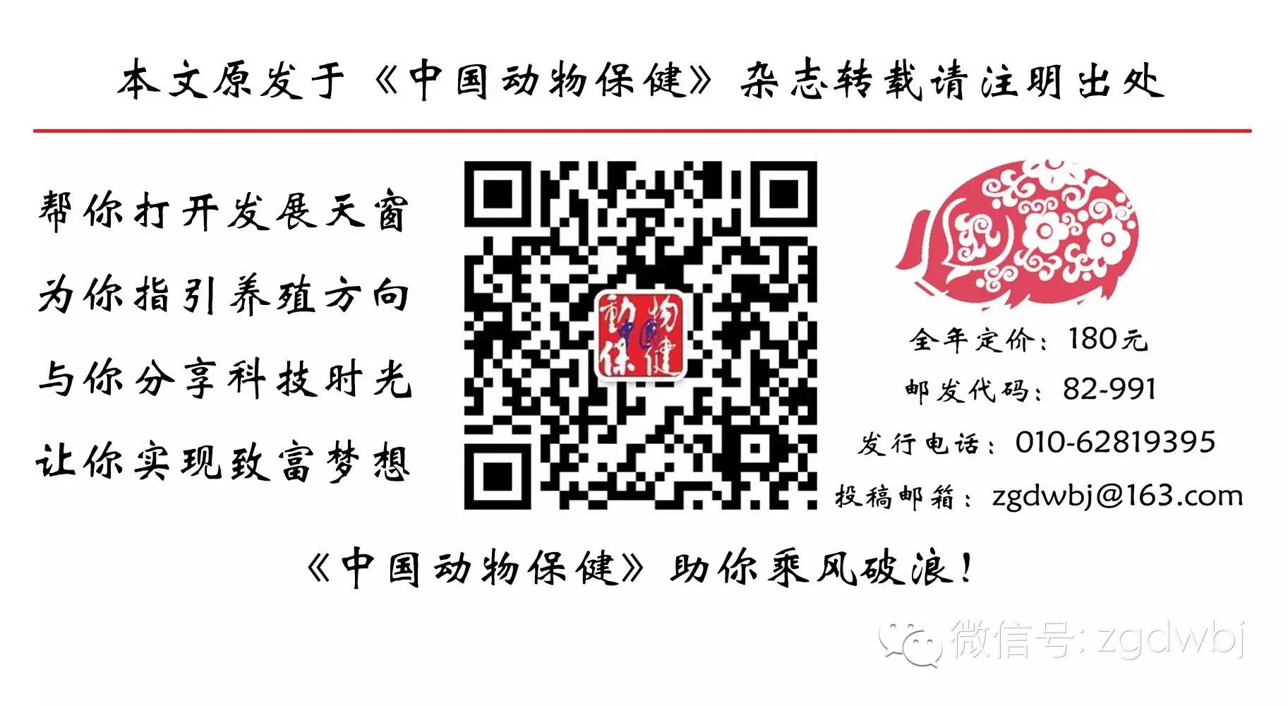 肉牛主要病防治技术有哪些,牛蹄病的原因及防治