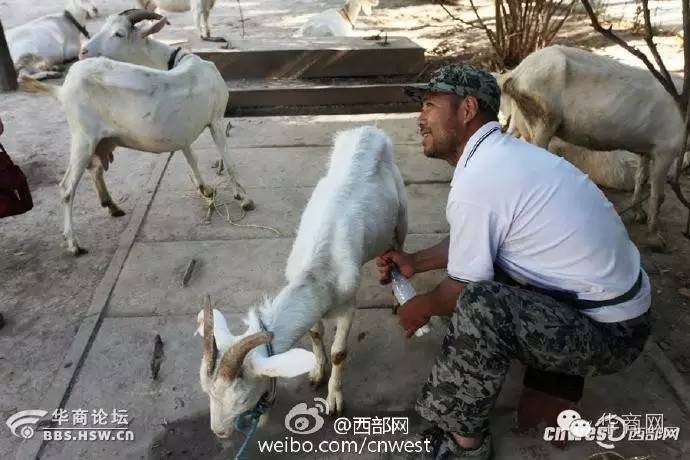 西安一女子遭飞车抢劫,陕西西安女子手机被碾后续