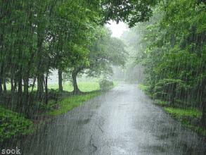 台风临沂暴雨红色预警,山东临沂发布暴雨大风预警