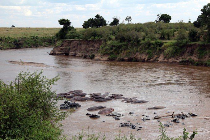 12天肯尼亚动物大迁徙自驾之旅,肯尼亚动物旅行